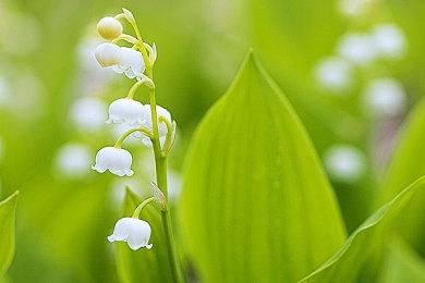 网传《GTA6》首个预告下周发布 大量内容疑似泄露